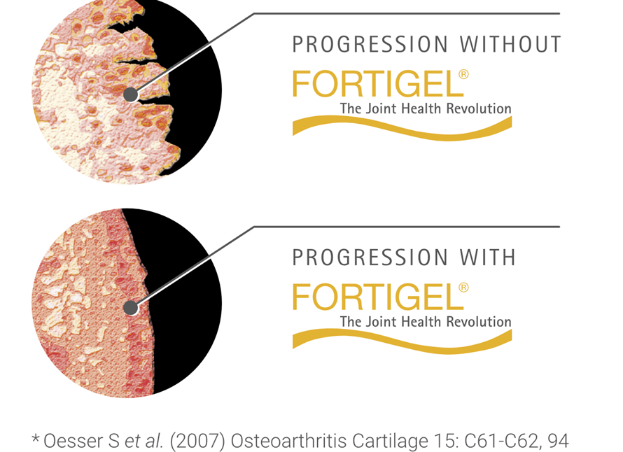 colágeno - fortigel