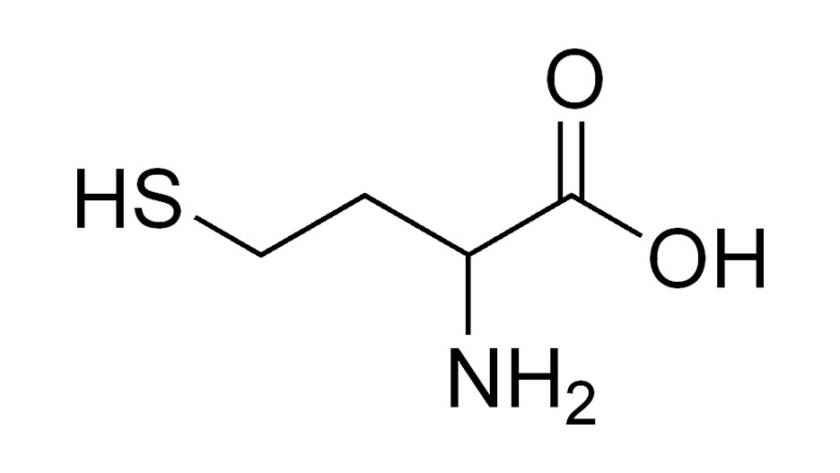 Homocisteína y cáncer