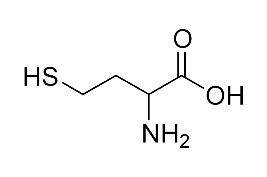 Homocisteína y cáncer