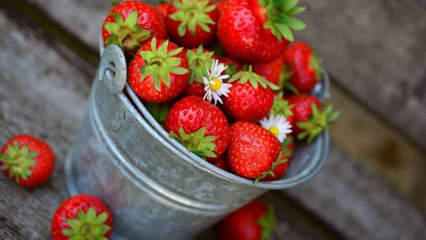 Las fresas en un proceso oncológico