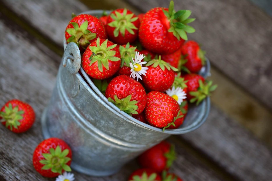 Las fresas en un proceso oncológico