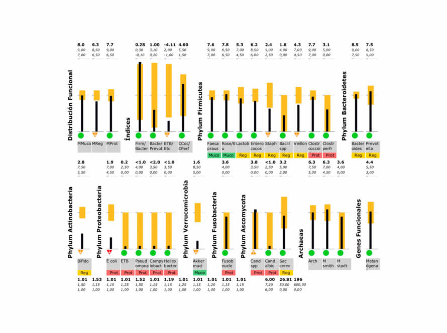 Microbiota Test Heces