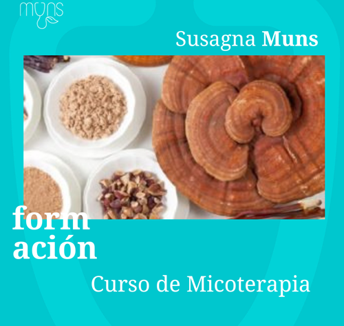 Curso de Micoterapia