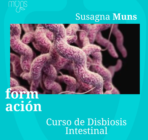 Curso Disbiosis Intestinal