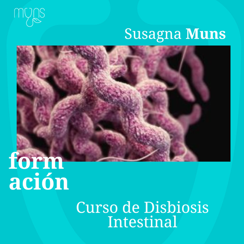 Curso de Disbiosis Intestinal