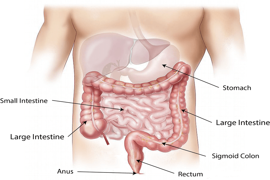 Cáncer de estómago